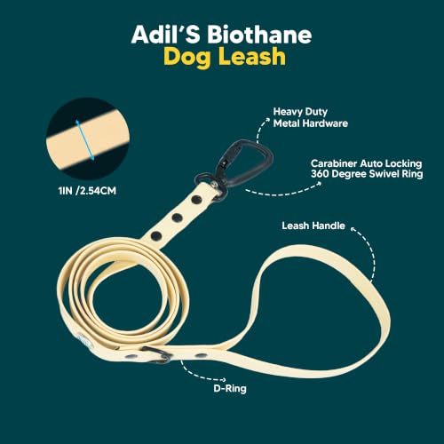 Image of Adil's Biothane Waterproof Dog Collar, Dog Leash & Collar Leash Combo | Heavy Duty TPU Coated Webbing | Adjustable Quick Release Buckle | Odour Resistant (Lemon Green, M-18, Leash Only)