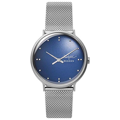 Preisvergleich Produktbild SKAGEN Watch SKW6584