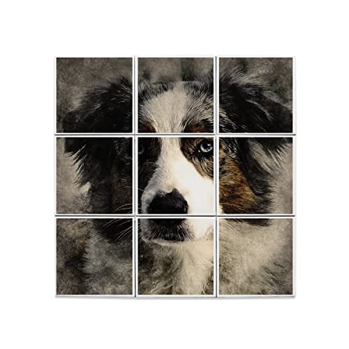 Carreaux Céramique Border Collie Décoration Salon 60x60cm