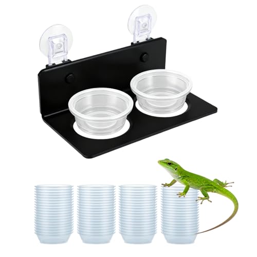 pafnisoin Coupelle D’Eau pour Terrarium 100 Pièces Bol Alimentation 0,5OZ Gamelles pour Terrarium Écuelles D’Eau Et De Nourriture pour Reptiles