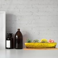 ARTKETTY 25 cm Keramik-Sukkulenten-Blumentöpfe, modern, lang, rechteckig, Blumenpflanzenbehälter mit Tablett, Flacher Kaktus, Bonsai, Fensterkasten mit Drainage, für Innen- und Außenbereich, – Ansicht 6