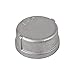 Conduit Cap,Thread,1in,1-3/64inL,316 SS