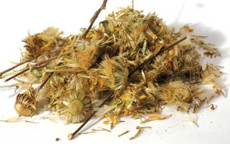 1 Lb Arnica entero
