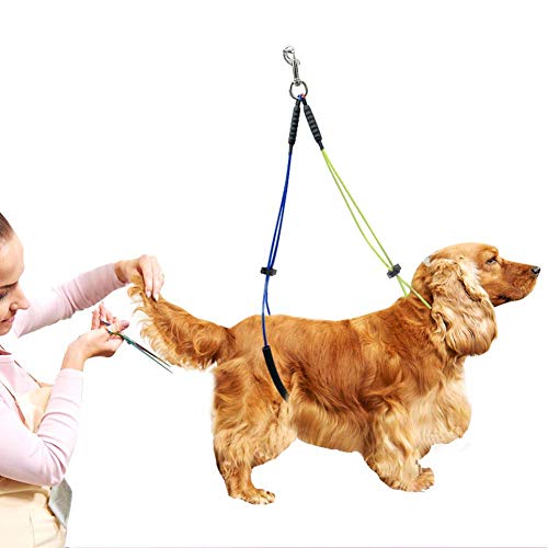 Adjustable Stainless Steel Dog Grooming Leash, with Foam Cotton Collar, Dog Grooming Loop, Dog Grooming Belly Strap - Image 2