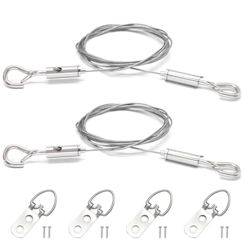 Image of Litoexpe 2 Pcs Picture Hanging Wire, Adjustable Stainless Steel Wire Rope with D Ring for Picture, Mirror, Light Lamp, Basket Flowerpot, 25kg Load Capacity