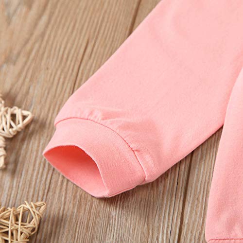 BOWINR Toddler Baby Girl Clothes Long Sleeve Letter Top Dinosaur Print Pants Set Winter Outfits(3_Years Pink)