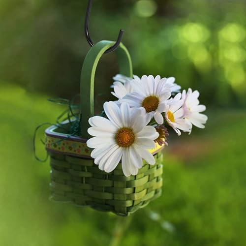 Crochets pour plantes et cintres de jardin pour embellir votre terrasse