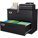 BYNSOE 2 Drawer Lateral File Cabinet Metal Filing Cabinet with Lock Office Home Steel Lateral File C