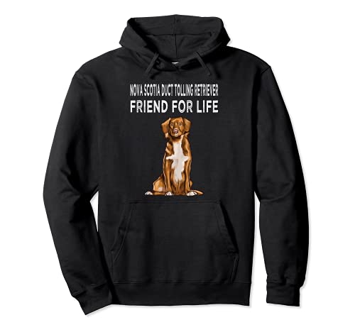 Duck Tolling Retrievers Friend For Life Dog Lover Friendship Pullover Hoodie, Black