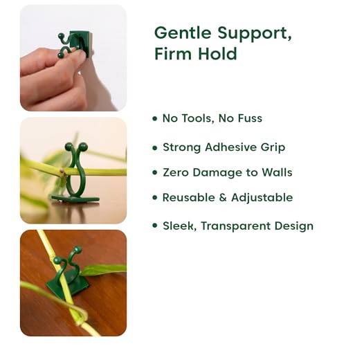 Image of Kyari Plant Clip Self-Adhesive Plant Clips for Climbers (Pack of 30)