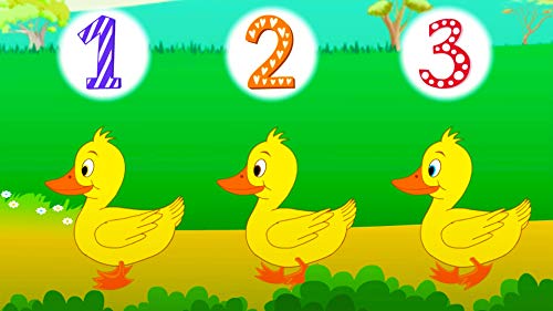 10 DVD Preschool Set by Rock 'N Learn (Alphabet, Colors, Shapes, Counting, Preschool Phonics, Get Ready for School, Nursery Rhymes)