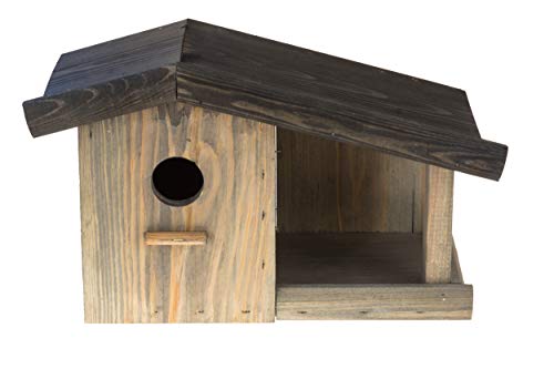 MAZUR International 4 x Nistkasten Natur für Blaumeisen & kleine Meisenarten aus Holz -wetterfest, Vogelhaus für Meisen… – Bild 4