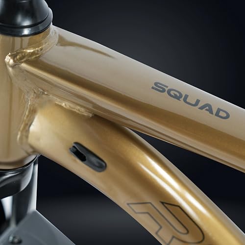 Image of ROADGIANT Squad 26T | MTB | Steel Bicycle | Dual Disc Brakes | Single Speed | Front Suspension | Unisex | for All-Terrain Riding (Brown)