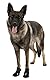 TRIXIE rutschfeste Hundeschuhe Pfotenschutz Walker Active, L, 2 St., schwarz- 19465