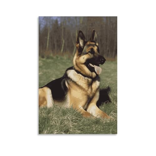 Toile murale berger allemand 60x90cm sans cadre pour salon