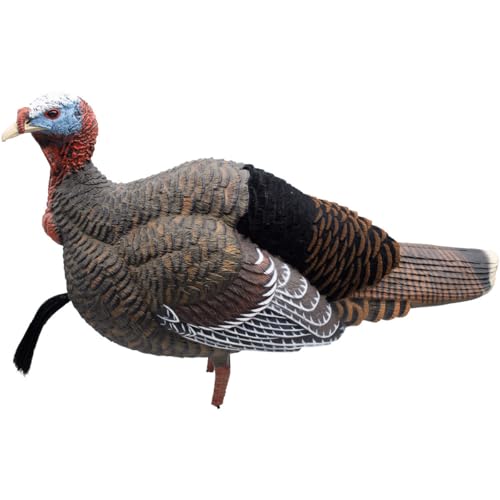 Final Approach Live Jake Turkey Decoy with Flocked Back