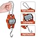 GRAM PRES Digital Hanging Scale, Mini Crane Scale 660LB/300KG,Deer Hunting Scales,Digital Scale with Hooks for Farm Fishing, Fish,Luggage，Outdoor.