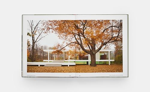 The Edith Farnsworth House: Architecture, Preservation, Culture - Image 4