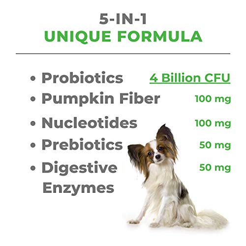 Mighty Petz MAX 5-in-1 Probiotics for Dogs – 4 Billion CFUs Probiotic Chews for Dogs and Digestive Enzymes + Prebiotic + Fiber. Gut Health, Anti Diarrhea, Allergy & Immunity Support Mighty Petz MAX 5-in-1 Probiotics for Dogs – 4 Billion CFUs Probiotic Chews for Dogs and Digestive Enzymes + Prebiotic + Fiber. Gut Health, Anti Diarrhea, Allergy & Immunity Support