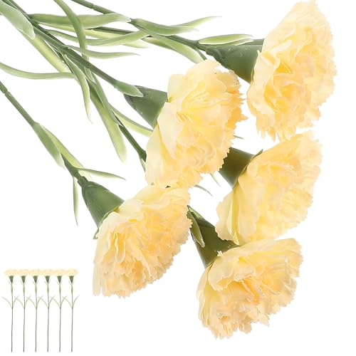 UTHCLO J[l[V6{Zbg V~[Vt[ t[fR[V ̓   p[eB[p