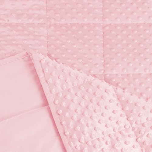 Image of ALANSMA Reversible Weighted Blanket for All Season, Luxury Velvet, Warm and Cool, Adult Kids 5Lb Weighted Blanket, Enjoy Sleeping Anywhere(Pink,36 inchx48 inch 5lbs)