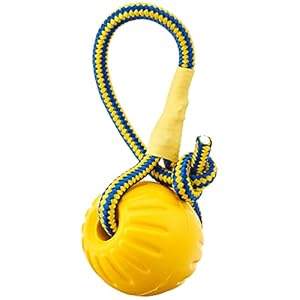 Ultra Bounce Ball for Dogs