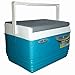 Pinnacle Mini Nevera Portátil 4,5 litros, Camping, Deportes, Playa, Azul Celeste, 25 x 18,7 x 18,5 cm