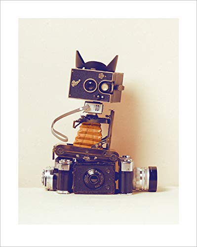 The Art Group Robot Cat Ian Winstanley Art Print, Paper, Multi-Colour, 40 x 50 x 1.3 cm