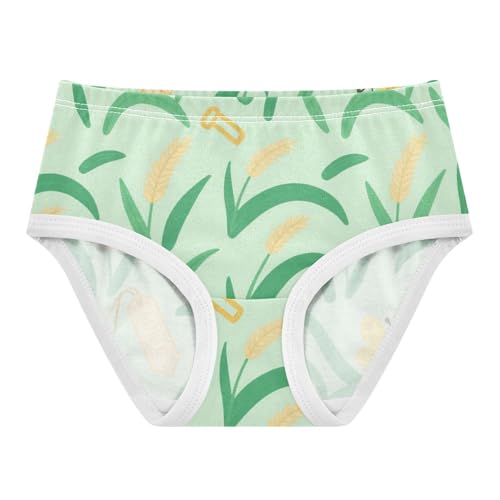 Girls' Underwear Rice Butterfly Green Toddle Brief Panties 2-8 Years 20300577