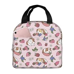 Strawberry Guinea Pig