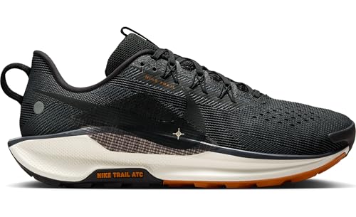 Image of Nike Men's Pegasus Trail 5 GORE-TEX Waterproof Trail Running Shoes