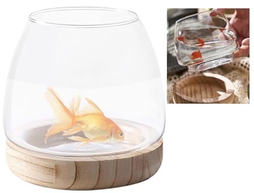 Kenvana KXkA ؐT|[gtKXԕr fXNgbv RIȉƂ̑ArO[AoX[AfBi[p̐ԊwIȐ(S)