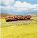 Faller 181352 Hedges Red-Blooming 3/Scenery and Accessories