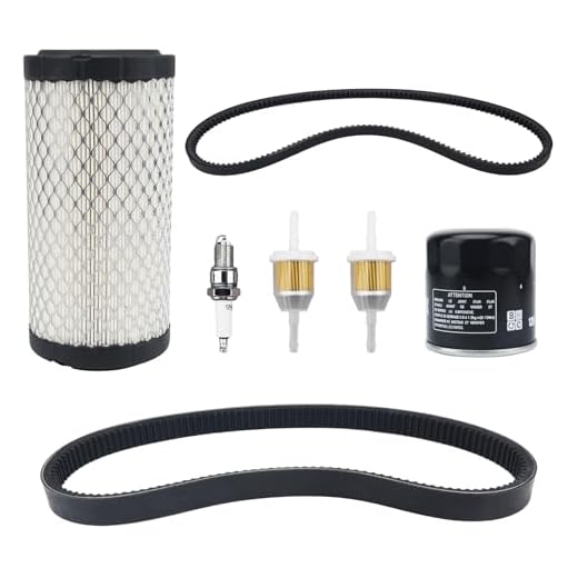 RARAYC Golf Cart Tune Up Kit