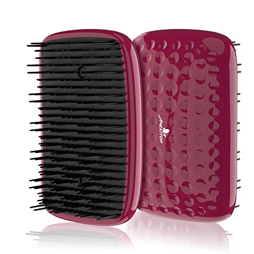 Brush Brosse à cheveux pour homme, femme et enfant, brosse ergonomique pour le soin des cheveux et la relaxation de la tête Rouge Cover