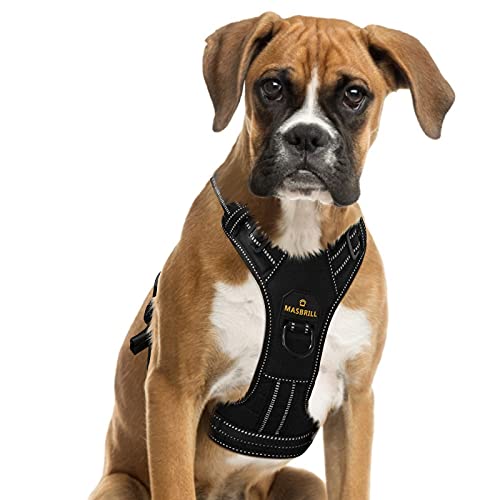 Best No Pull Dog Harnesses Buyer's Guide 2022 Tenz Choices
