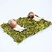 Jinymral Pet Snail Climbing Wall, Great for Pet Snails That Like to Climb, Snail Terrarium Accessories