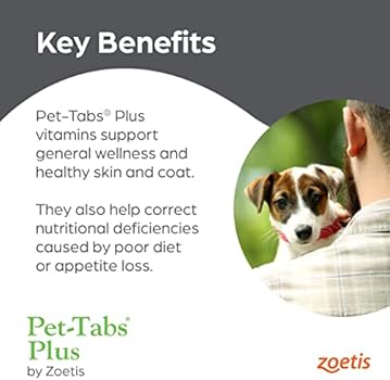 Amazon Com Pet Tabs Plus Multivitamin And Mineral Supplement For Dogs Of All Sizes With Special Nutritional Needs Chewable Tablet 60 Count Bottle Pet Multivitamins Pet Supplies