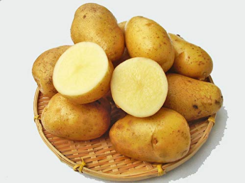 北海道四季工房 北海道剣淵産 アローワ（Ｍ～Ｌ混）北海道産じゃがいも