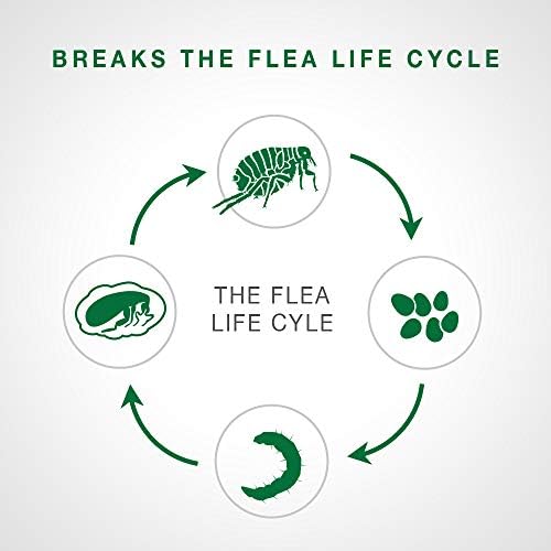 Advantage II Flea Protection for Large Cats weighing over 4 kg (over 9 lbs.) - 2 doses — view 3