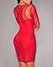 Cfanny Women's Lace Nude Illusion See Through Sleeves Bodycon Dress,Red,Small