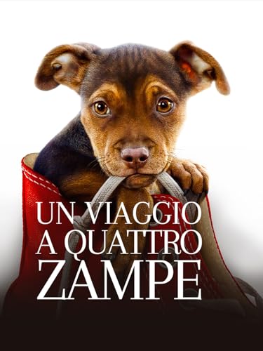  Un viaggio a quattro zampe