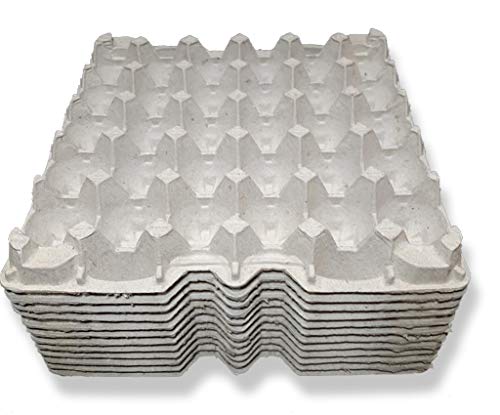 Egg Flats Egg Cartons Cheap Bulk - Egg Tray Egg Carton For Your Dubia Roach Colonies by G&T Country Living, LLC - Thumbnail 2