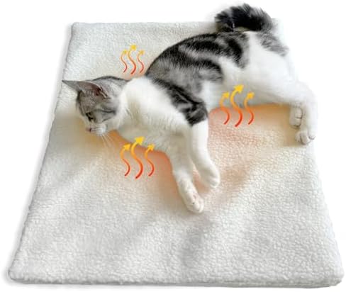 Heizdecke Katze Gefhrlich