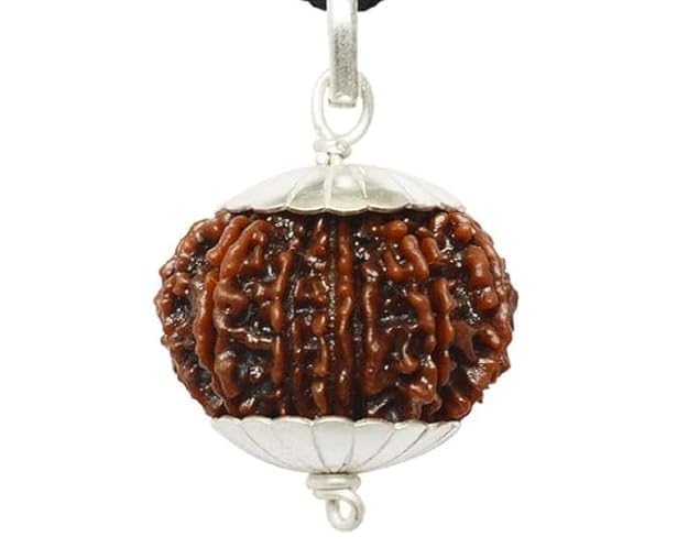 13 Mukhi Rudraksha Original Certified, 21mm, Brown, Nepal, 13 face Round Bead Pendant, Silver Plated, Spiritual SQ lab tested 13 मुखी रुद्राक्ष नेपाली ओरिजनल Nepal-image-35