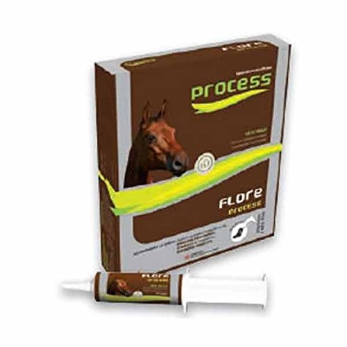 Flore Process Cheval 5 seringues de 20ml M.S.D.