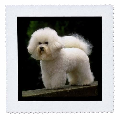 3dRose Quilt Square, Multicolor