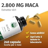 Zoom IMG-1 maca 3 en 1 complejo