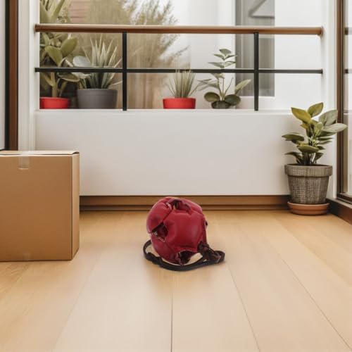 Balle à mâcher résistante pour jeu intérieur et extérieur des chiens