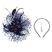 DRESHOW Fascinators Hat Feather Headband Women's Fascinators Tea Party Headwear with Clip Derby Hat for Girls & Women